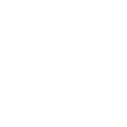 Logo WSG