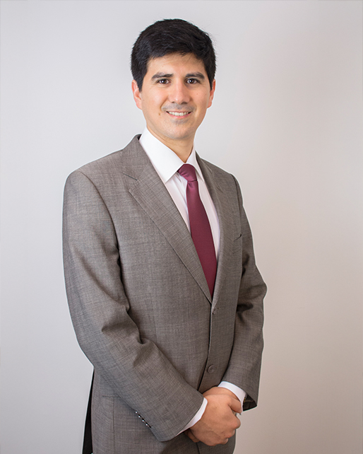 Especialista en Patentes