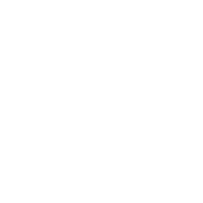 Logo FLI